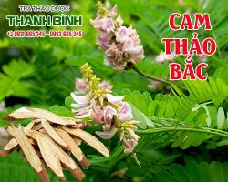 Mua bán cam thảo bắc tại quận Hà Đông hỗ trợ chống viêm