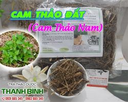 Mua bán cam thảo đất tại quận Thanh Xuân giảm nguy cơ mắc các bệnh về gan