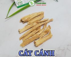 Mua bán cát cánh tại Điện Biên giúp giảm đau tiêu viêm ở mụn mưng mủ