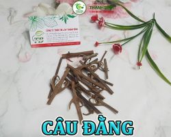 Mua bán câu đằng tại Bình Phước hỗ trợ bảo vệ tế bào thần kinh hiệu quả