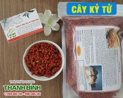 Mua bán câu kỷ tử ở huyện Cần Giờ giúp làm đẹp da uy tín tốt nhất