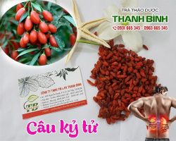 Mua bán câu kỷ tử tại huyện Thạch Thất trị thận hư, suy nhược