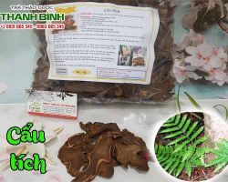 Mua bán cẩu tích tại huyện Thường Tín chữa các vết thương chảy máu