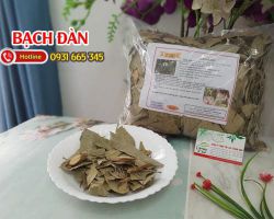 Mua bán cây bạch đàn ở quận Thủ Đức giúp điều trị ngứa ngoài da