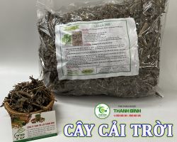 Mua bán cây cải trời tại Bình Thuận hỗ trợ hạn chế hấp thu chất béo