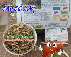 Mua bán cây cỏ may tại huyện Từ Liêm có tác dụng thanh nhiệt giải độc cơ thể