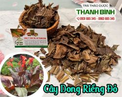 Mua bán cây dong riềng đỏ tại quận Hai Bà Trưng điều trị chứng nhồi máu cơ tim