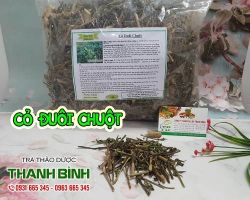 Mua bán cây đuôi chuột ở quận Bình Tân có tác dụng lợi tiểu