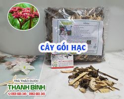 Mua bán cây gối hạc ở quận Thủ Đức giúp giảm đau nhức xương khớp do tê thấp