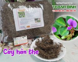 Mua bán cây hàn the tại huyện Thanh Trì hỗ trợ giải nhiệt