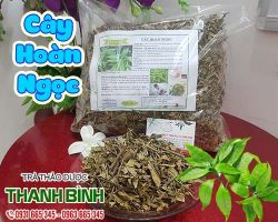 Mua bán cây hoàn ngọc tại huyện Phúc Thọ chữa u xơ phổi