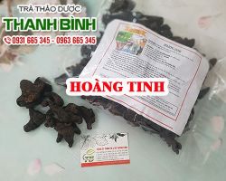 Mua bán cây hoàng tinh tại quận 8 giúp điều hòa huyết áp hiệu quả
