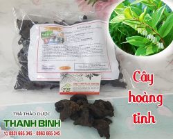 Mua bán cây hoàng tinh tại quận Đống Đa có tác dụng giúp mượt tóc