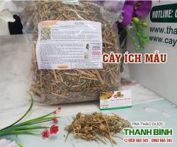Mua bán cây ích mẫu tại quận 5 giúp kích thích co bóp ruột
