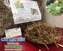 Mua bán cây lạc tiên ở huyện Hóc Môn giúp điều trị chứng khó ngủ