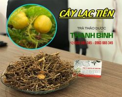 Mua bán cây lạc tiên tại quận Hoàn Kiếm có tác dụng giảm stress rất tốt