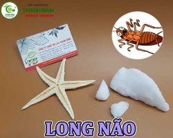 Mua bán cây long não và long não kết tinh ở huyện Hóc Môn giúp trị hắc lào và nấm
