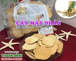 Mua bán cây mật nhân tại quận 10 có tác dụng điều trị tiêu hóa kém
