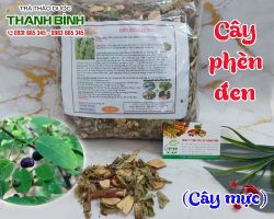 Mua bán cây phèn đen tại quận Cầu Giấy hỗ trợ trị nhọt độc mới phát