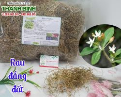 Mua bán cây rau đắng tại quận Đống Đa điều trị đau nhức xương khớp
