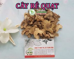 Mua bán cây rẻ quạt ở quận Tân Phú giúp điều trị viêm phế quản mãn tính