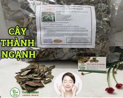 Mua bán cây thành ngạnh ở huyện Cần Giờ có công dụng rất tốt cho phụ nữ sau khi sinh