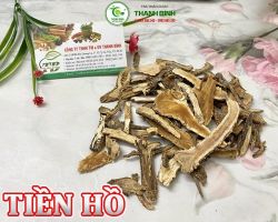 Mua bán cây tiền hồ tại Kom Tom hỗ trợ trị mụn nhọt đang sưng tấy