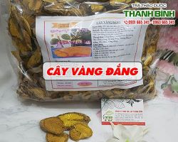 Mua bán cây vàng đắng tại quận 2 có tác dụng thanh nhiệt tiêu viêm