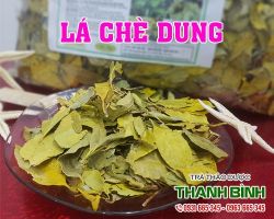 Mua bán chè dung tại huyện Thường Tín giúp tinh thần tỉnh táo