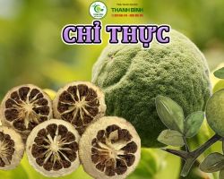 Mua bán chỉ thực tại Gia Lai hỗ trợ thanh nhiệt cơ thể hiệu quả nhất