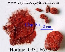 Mua bán chu sa ở đâu tại tp hcm ???
