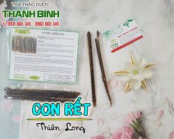 Mua bán con rết ở huyện Cần Giờ hỗ trợ điều trị sẹo do bỏng để lại