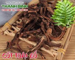 Mua bán cốt toái bổ ở huyện Bình Chánh có tác dụng giảm đau