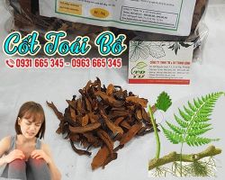 Mua bán cốt toái bổ tại huyện Từ Liêm chữa chứng khô miệng