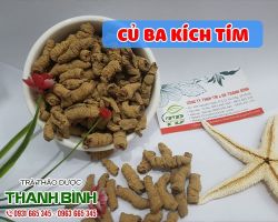 Mua bán củ ba kích tím tại huyện Sóc Sơn có tác dụng chống viêm