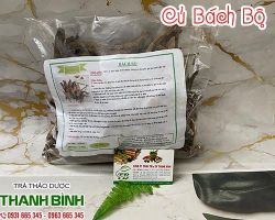 Mua bán củ bách bộ tại quận Thanh Xuân hỗ trợ trị tự nhiên ho không dứt