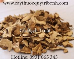 Mua bán củ bạch truật tại Hà Nội có tác dụng trị tiêu chảy hiệu quả