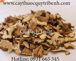 Mua bán củ bạch truật tại huyện Cần Giờ điều trị tiêu hóa kém hiệu quả