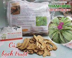 Mua bán củ bạch truật tại huyện Đan Phượng giúp dưỡng huyết an thai