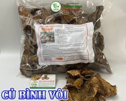 Mua bán củ bình vôi tại Hưng Yên giúp điều trị viêm phế quản cực kỳ hiệu quả