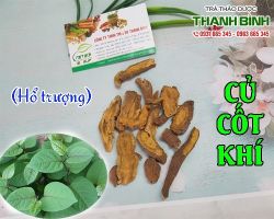 Mua bán củ cốt khí tại huyện Mê Linh có tác dụng chữa sưng đỏ mu bàn chân