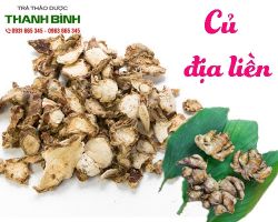Mua bán củ địa liền tại huyện Đông Anh hỗ trợ điều trị ăn uống không tiêu