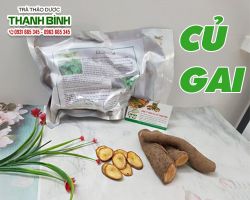 Mua bán củ gai an thai tại quận Hoàn Kiếm có tác dụng chữa đau bụng, ra huyết