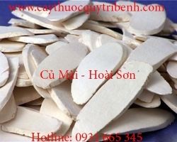 Mua bán củ mài (hoài sơn) tại tp hcm uy tín chất lượng tốt nhất