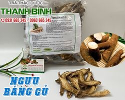 Mua bán củ ngưu báng ở đâu uy tín giá tốt tại TPHCM?
