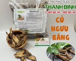 Mua bán Củ ngưu báng ở quận Thủ Đức giúp bồi bổ chức năng gan thận