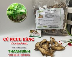 Mua bán củ ngưu báng tại quận Ba Đình giúp kiểm soát huyết áp cao