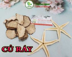Mua bán củ ráy tại quận 7 hỗ trợ chữa đau nhứt xương khớp ở dạng thấp