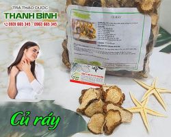 Mua bán củ ráy tại quận Ba Đình có tác dụng thanh nhiệt giải độc