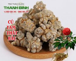 Mua bán củ tam thất bắc tại quận 10 có tác dụng kháng viêm
